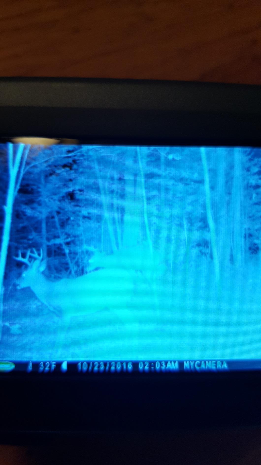 Nose Jammer Field Spray - Natural Hunting Scent Eliminator Spray customer photo 2
