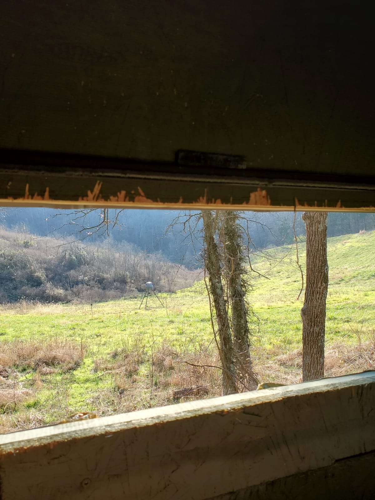 Deer Blind Window Swing sash 16