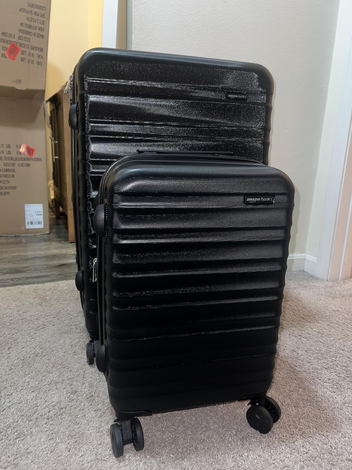 Amazon Basics 2-Piece Hardside Luggage Set (21