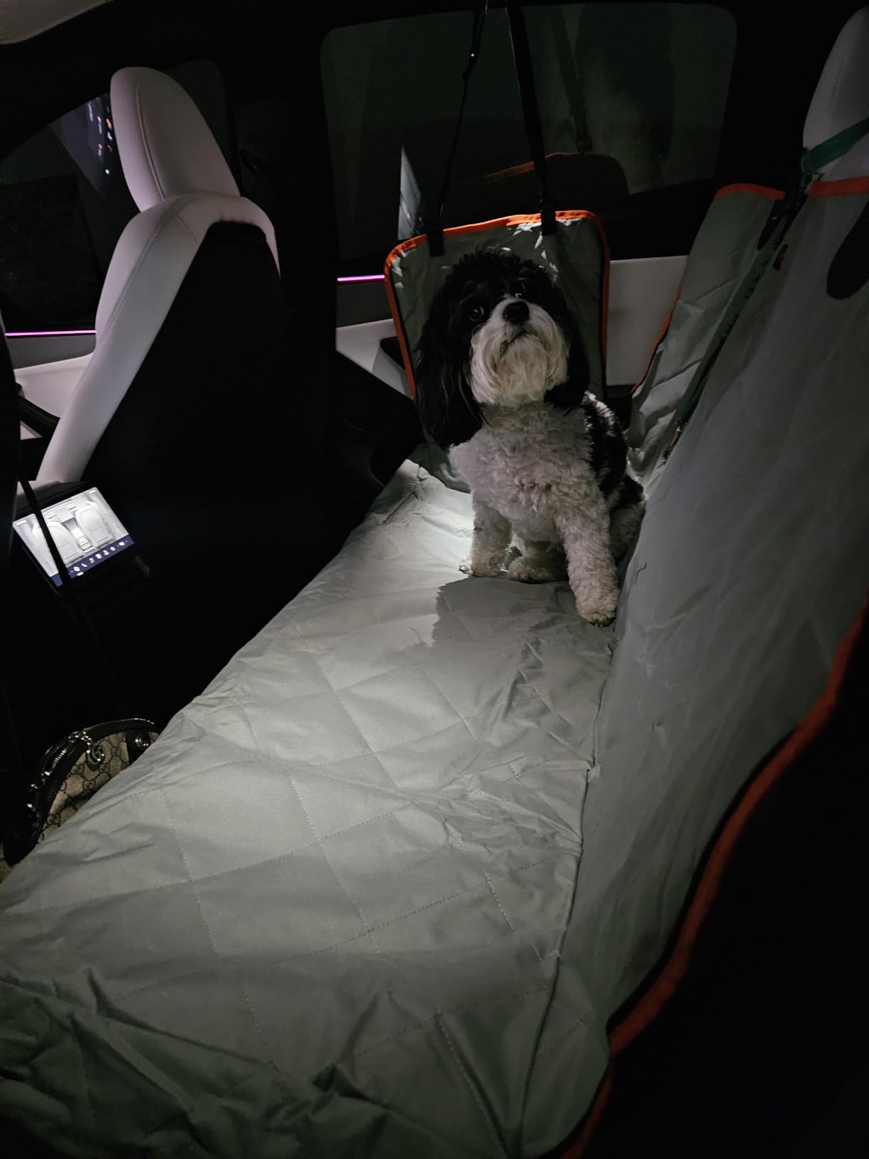 Luxury Dog Car Seat Cover for Back Seat Breathable Mesh Window Dog Hammock for Car 4-Layer Heavy Duty Waterproof Pet Seat Protector Scratch-Proof Car Seat Cover Perfect for Family Road Trips customer photo 1
