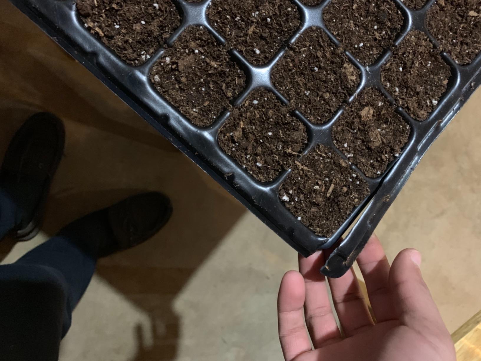 Bootstrap Farmer Extra Strength Seed Starter Kit, 2 Pack Combo, 2 of Each - 1020 Tray, Humidity Dome, 50 Cell Plug Tray customer photo 2