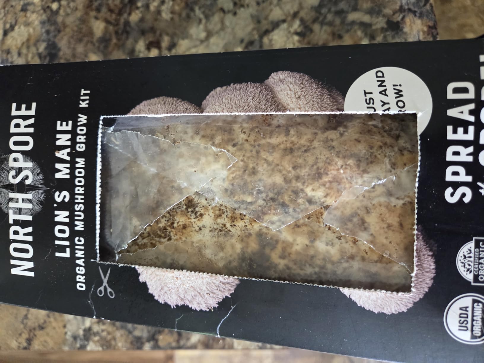 North Spore Organic Lion's Mane Mushroom Grow Kit, 4 lbs customer photo 1