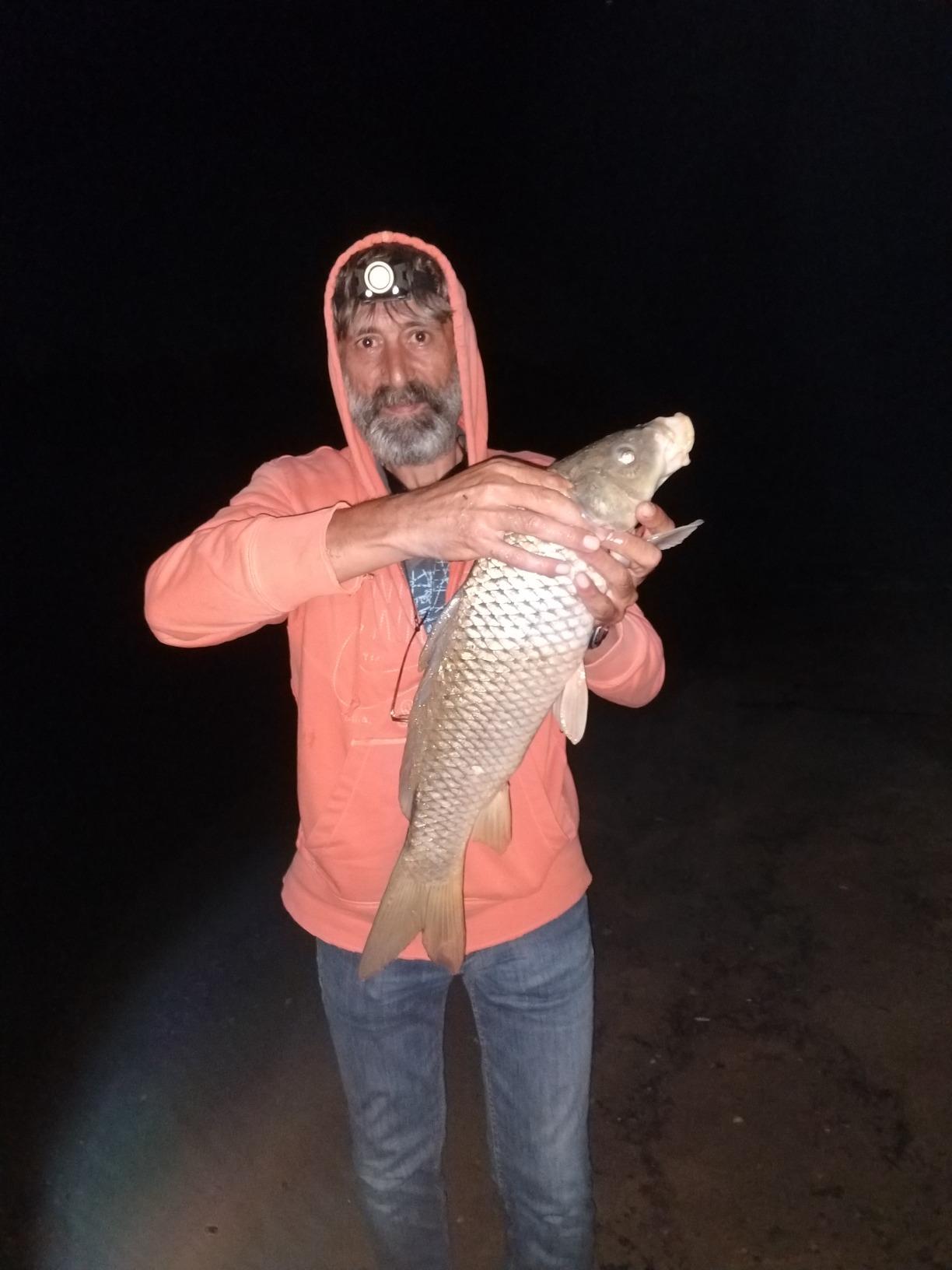 Inline Method Feeder Set Carp Fishing Tackle 4 Inline Method Feeders with 1 Rubber Mould Carp Fishing Accessories customer photo 2