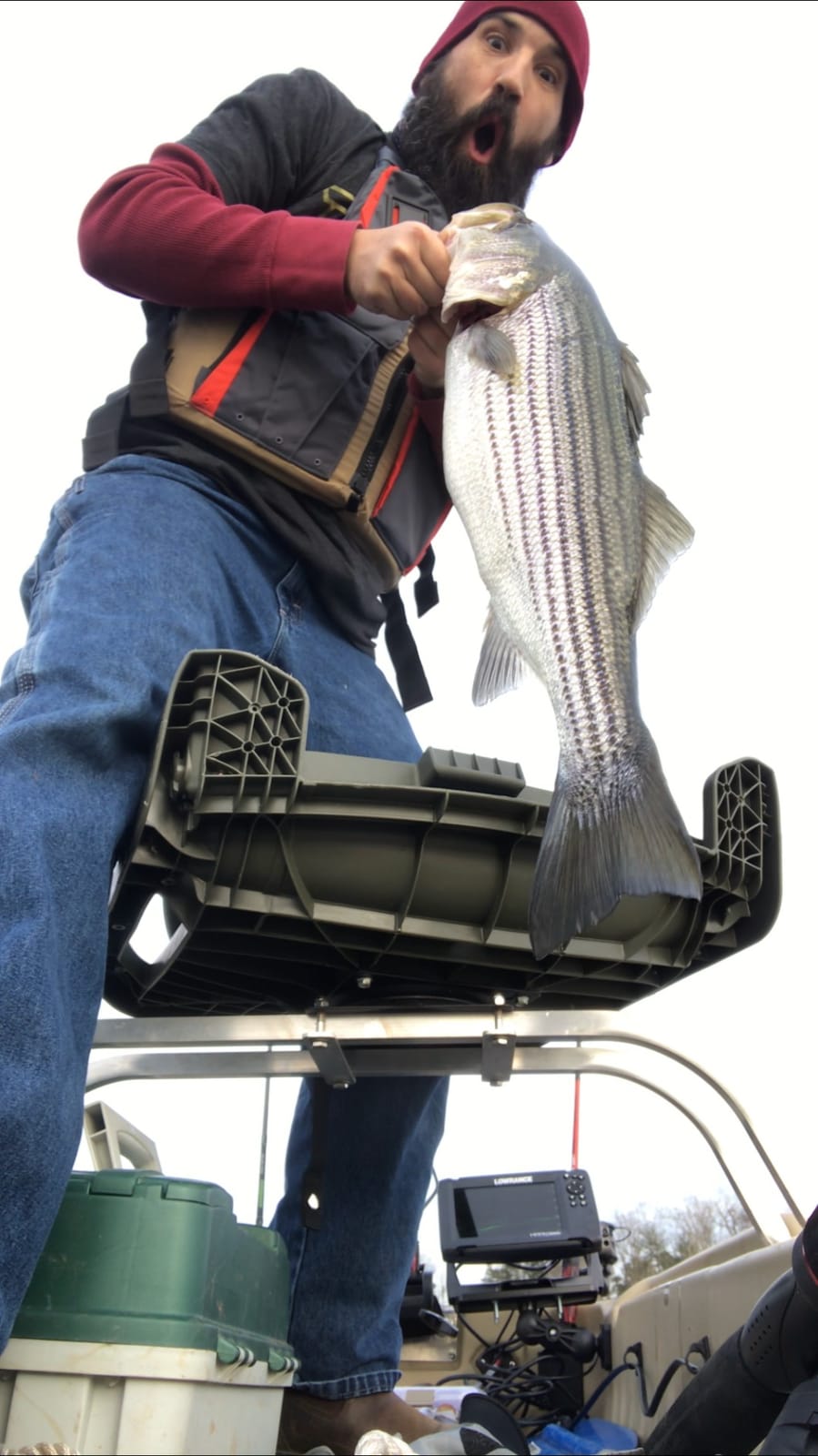 Fishing Vault Fully Rigged 5 Arms 8 Bladed Umbrella Rig Bass Lure W/Swim Baits and Jig Heads Included customer photo 1