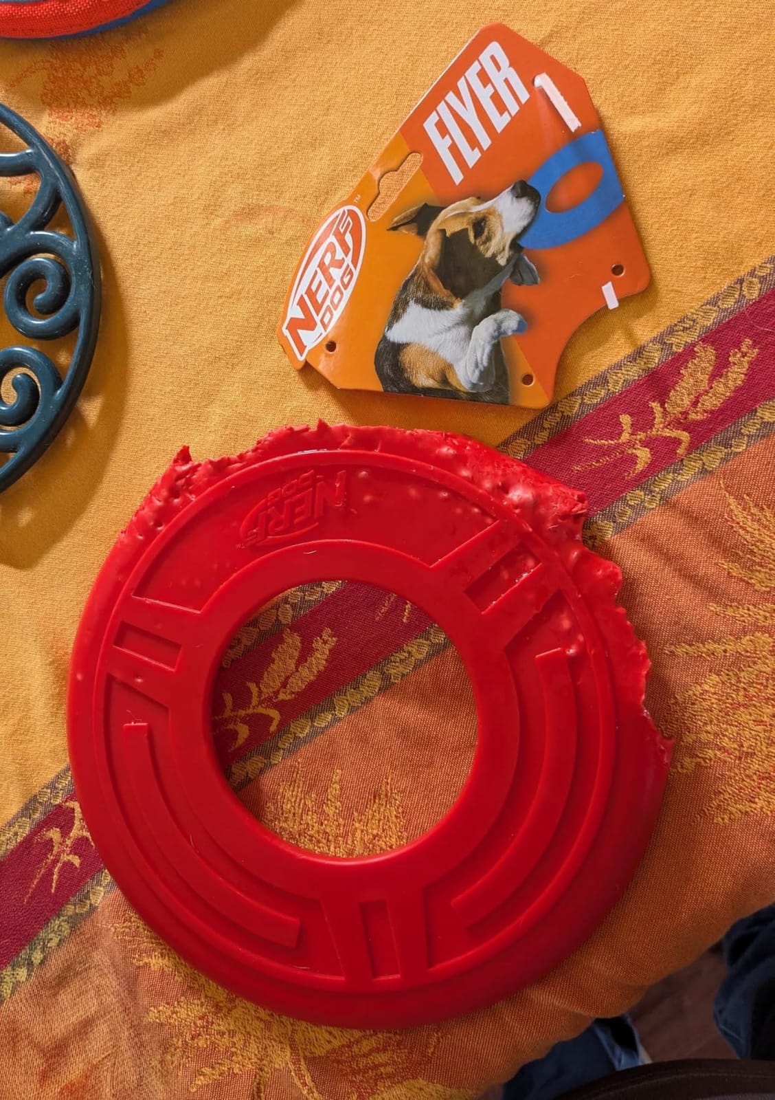 Nerf Dog Atomic Flyer Outdoor Dog Toy, 10 Inch Flying Disc Dog Fetch Toy, Rubber Dog Toy for Medium Dogs and Large Dogs, Green customer photo 1