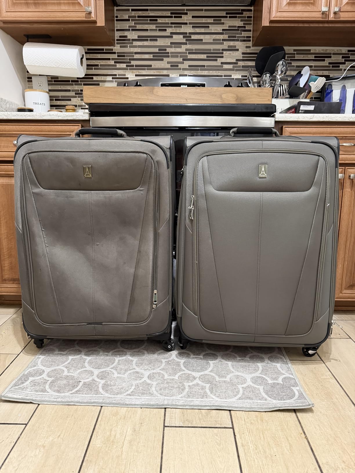 Travelpro Maxlite 5 Softside Checked Luggage Spinner, Black, 25-Inch customer photo 2