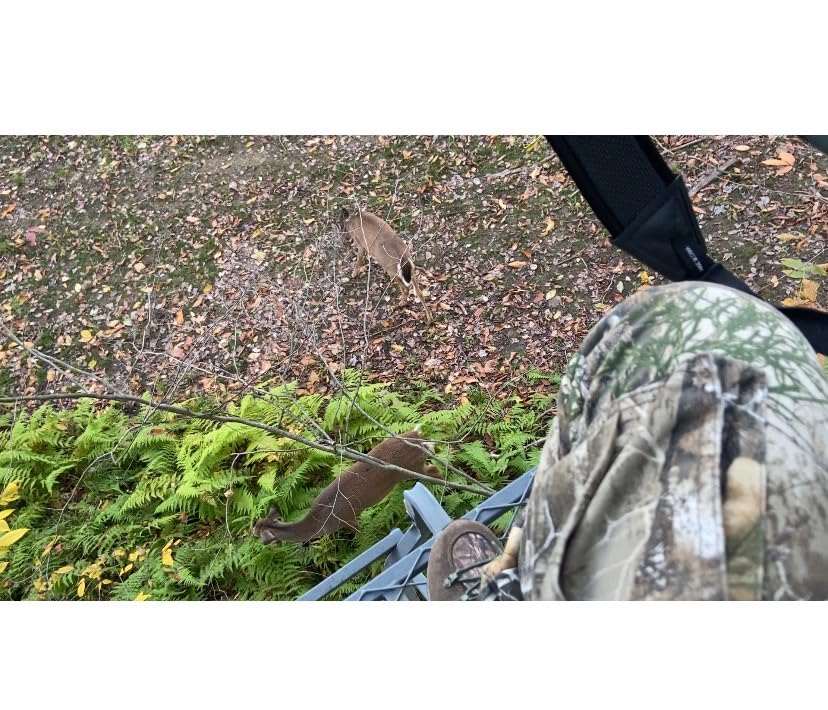 Primos Hunting unisex adult The Original CAN Deer Estrus Bleat Call from Primos, Green, One Size US customer photo 2