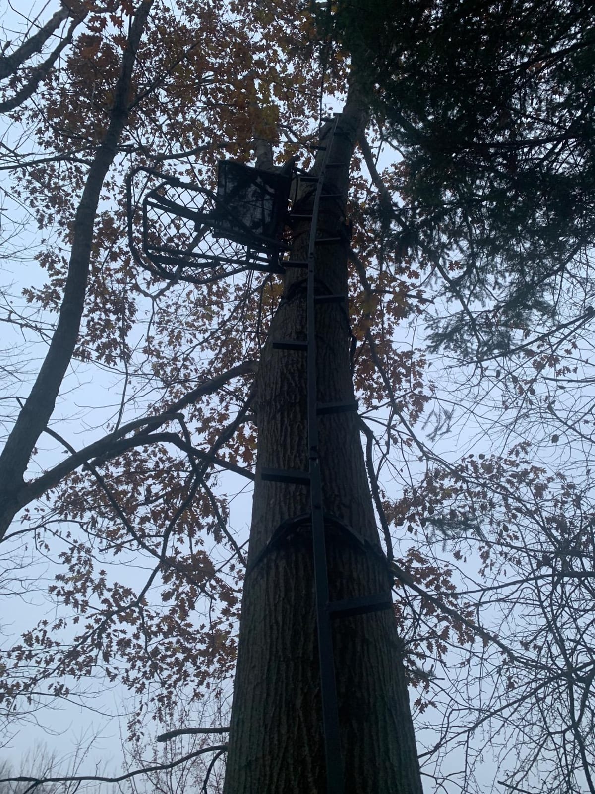 Hawk Kickback LVL Hang-On Deer Hunting Tree Stand, Deer Stand customer photo 1