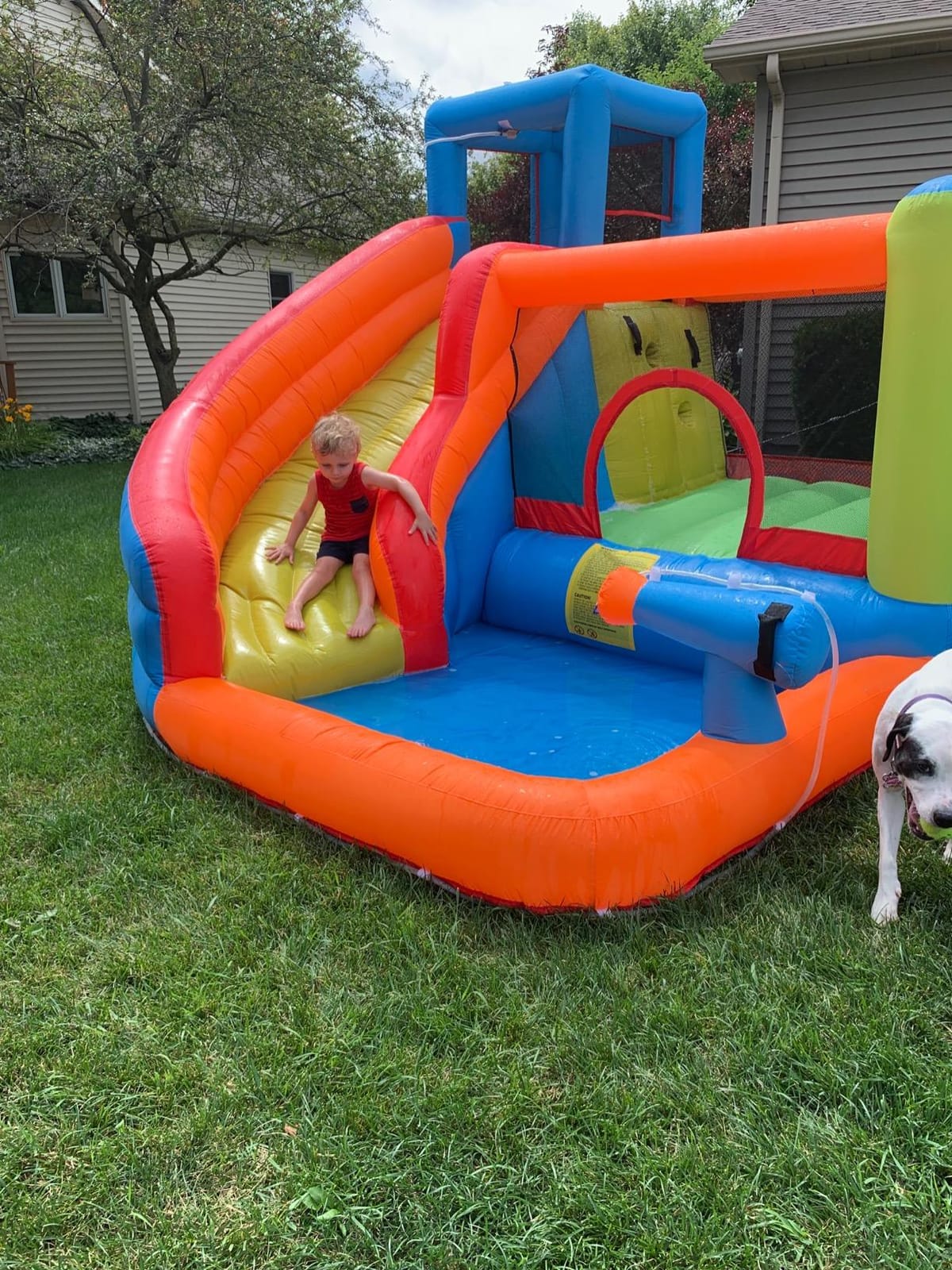 Inflatable Bounce Slide House Jumper Water Slide Park Combo for Kids Outdoor Party customer photo 1