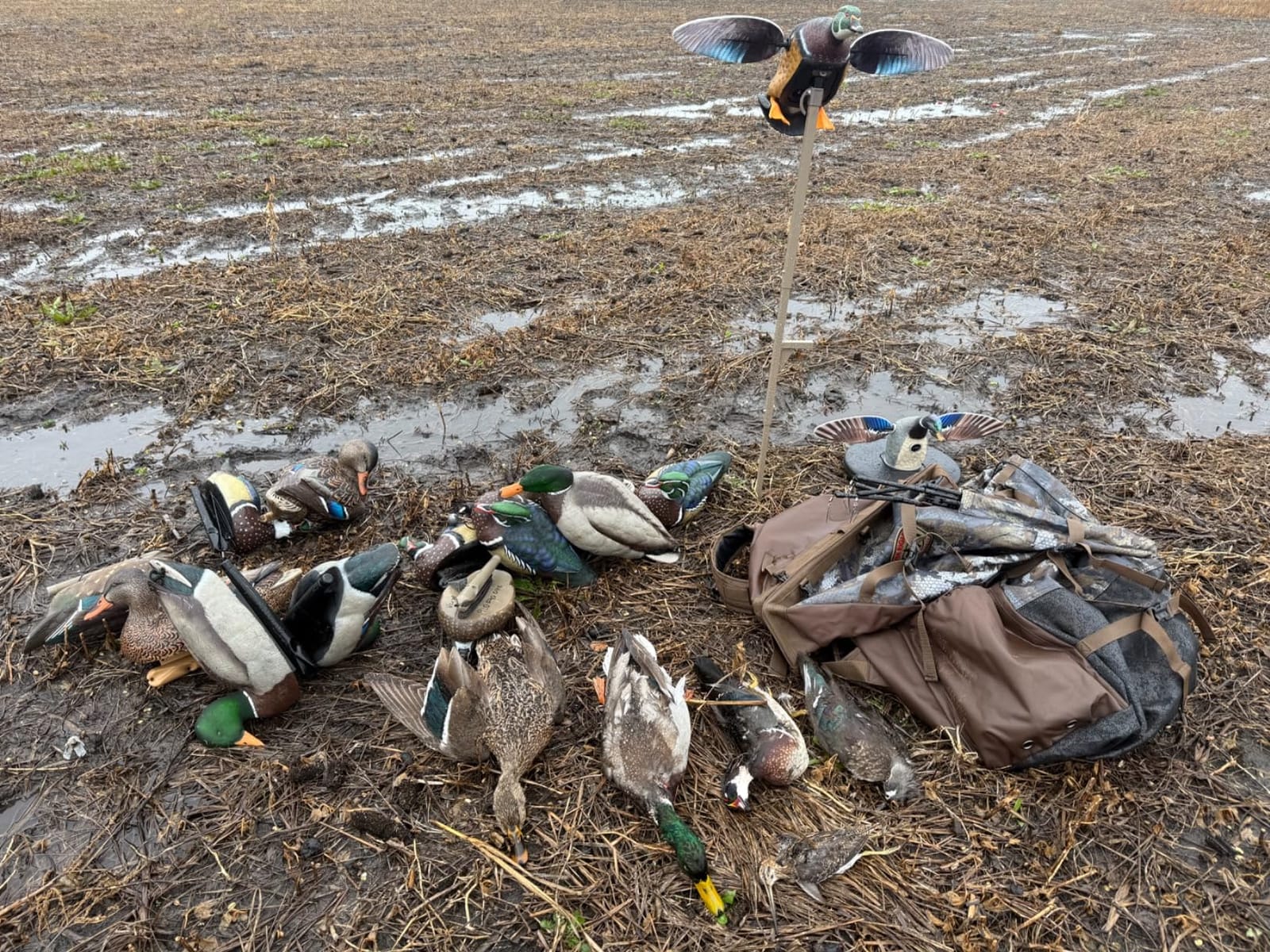 Rig'Em Right Outdoors Refuge Runner Decoy Backpack, Optifade Marsh customer photo 2