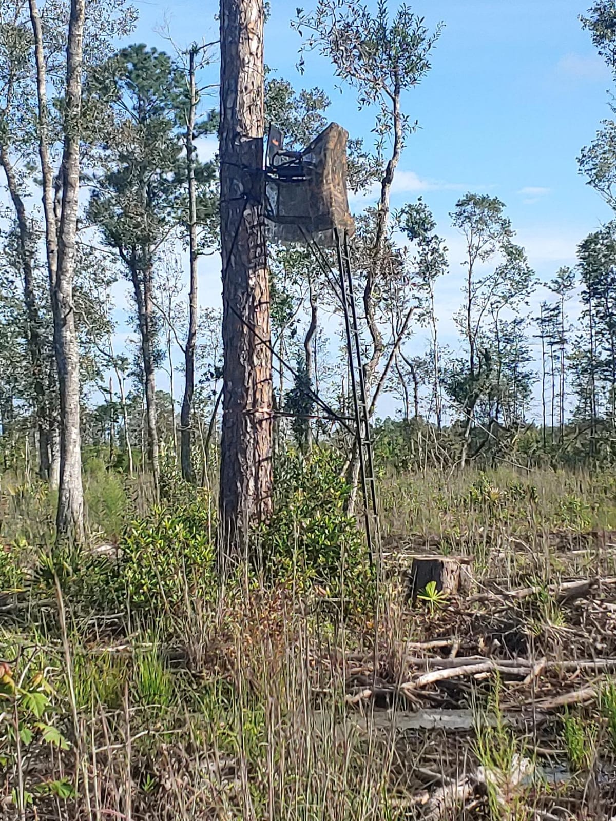 BIG GAME 2 Person Ladder Stand customer photo 2