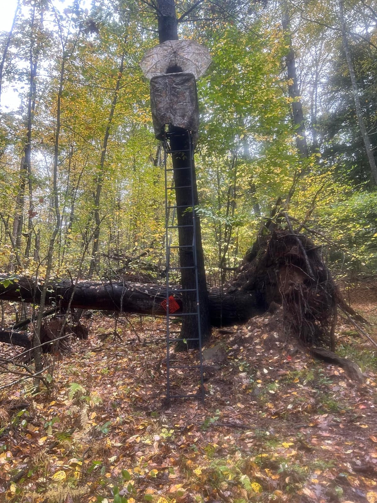Muddy 1-Person Huntsman Deluxe Steel Ladder Tree Stand, 17 ft Tall | 300 lb Capacity - Hunting Treestand with Lumbar Support Seat, Flip-Back Adjustable Shooting Rail & Silencer Technology customer photo 2