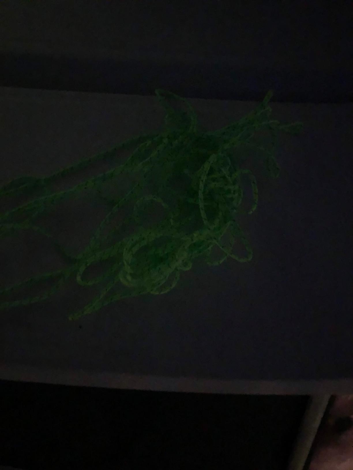 LILUO Glow in The Dark Luminous Reflective Guyline - 5mm 65.6ft/20m Highly Reflective Tent Rope with 10 Aluminum Adjusters/Tensioners customer photo 2