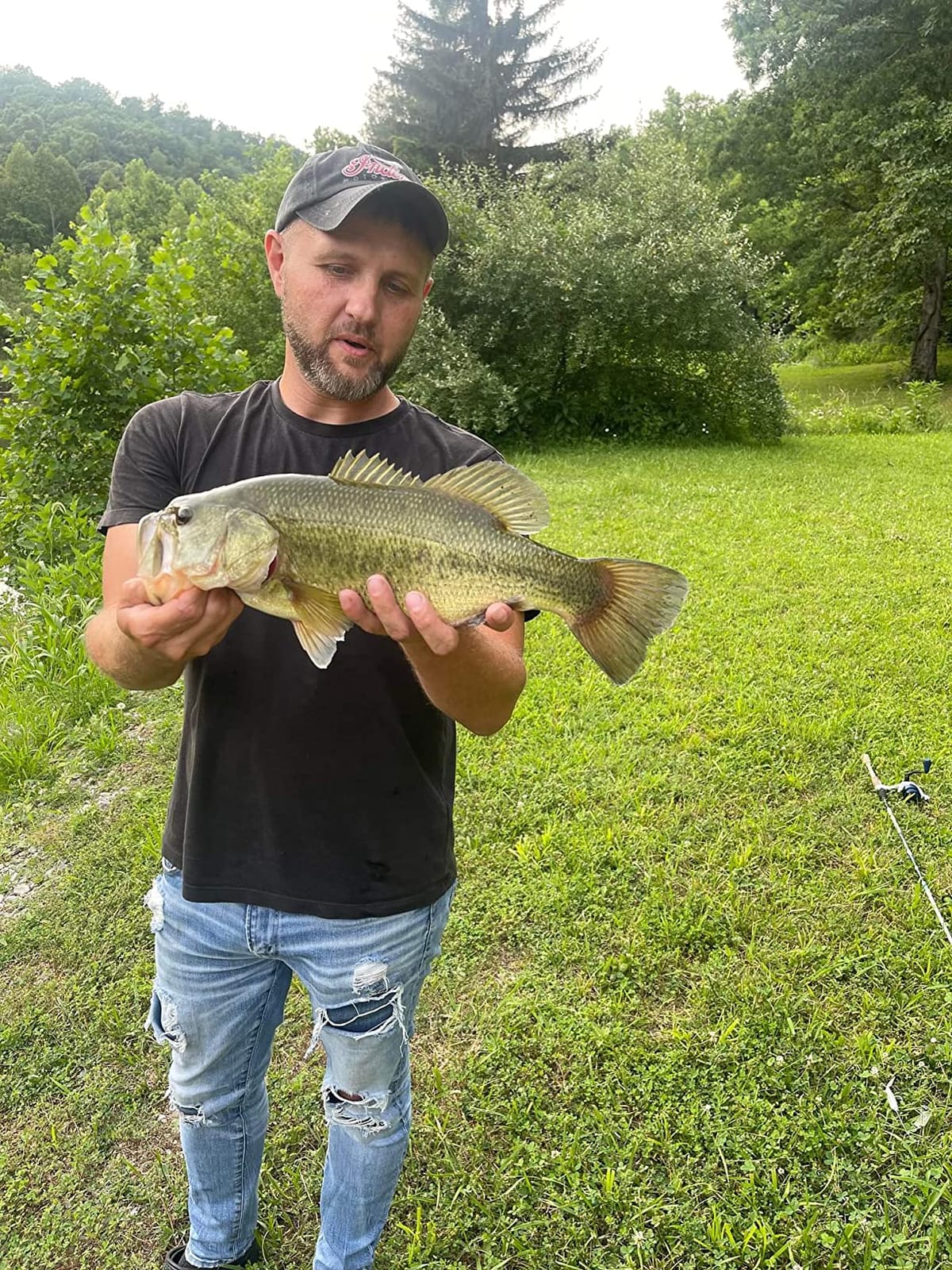 Lew's Strike King Lures KVD Toad Buzz Lure Freshwater 3 8 Oz 5 0 Hook Package of 1 customer photo 1