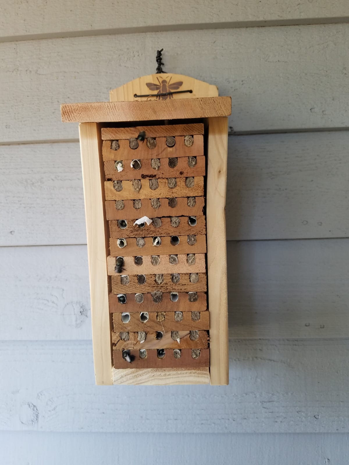 Woodlink 28551 Heavy Duty Cedar Mason Bee, Large Insect House, 14