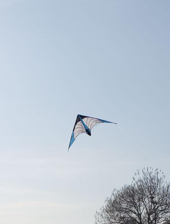 HENGDA KITE-Upgrade Star Rhyme 48 Inch Dual Line Stunt Kite for Kids and Adults,Outdoor Sports,Beach and Fun Sport Kite,Handle,Line,and Bag Included customer photo 1