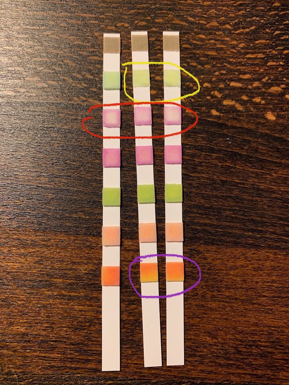 JNW Direct Pool Test Strips for Pools and Spas - 7 in 1 Water Test 100 Pack customer photo 1