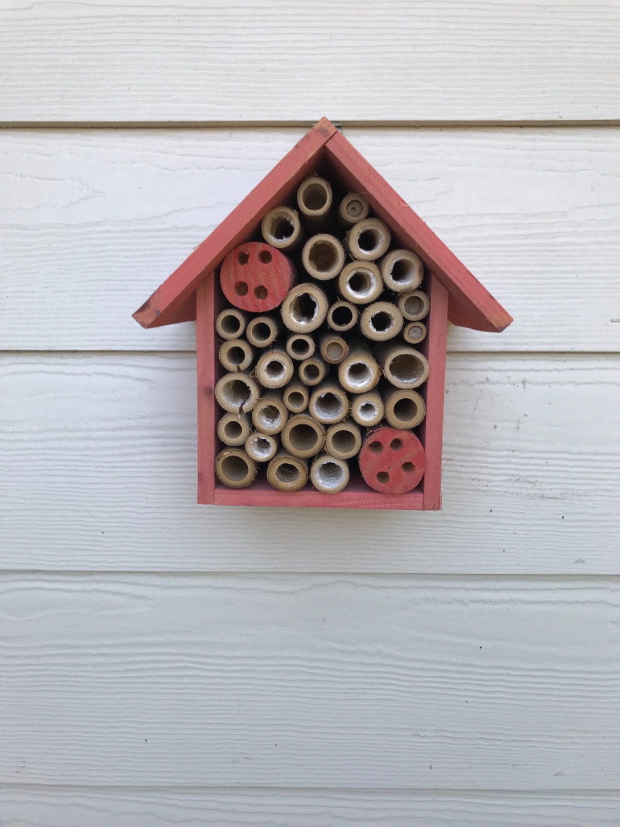 Cestari Bamboo Tube Bee Hotel for Solitary Bees - Attract Gentle Pollinators to Your Garden with a Safe, FSC Certified Wooden Bee Home customer photo 1