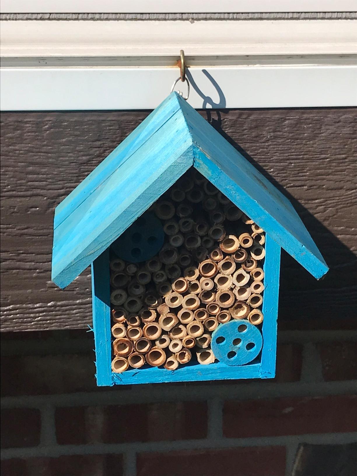 Cestari Bamboo Tube Bee Hotel for Solitary Bees - Attract Gentle Pollinators to Your Garden with a Safe, FSC Certified Wooden Bee Home customer photo 2