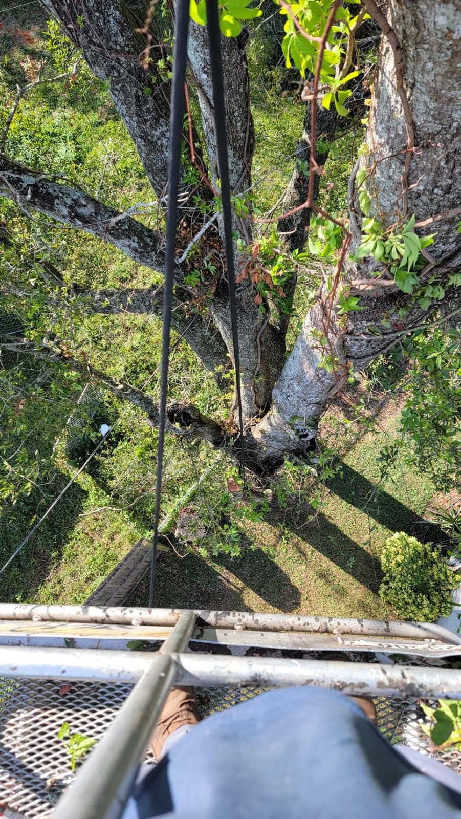 Static Climbing Ropes 35FT,50FT,100FT,150FT,200FT,250FT(Diam 10mm,16mm) customer photo 2
