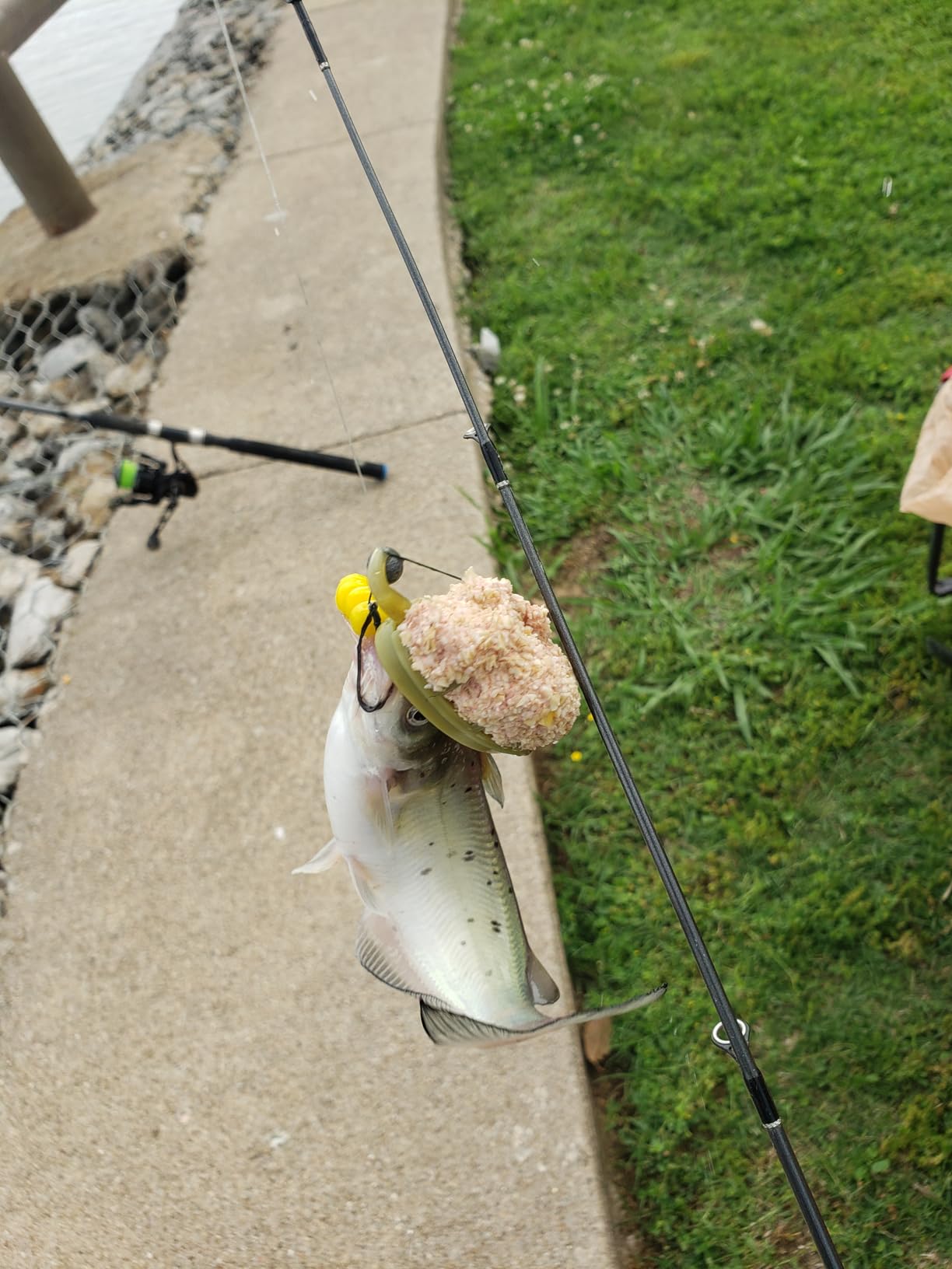 Carp Fishing Method Feeders Set 4 Inline Method Feeders with 1 Quick Release customer photo 2