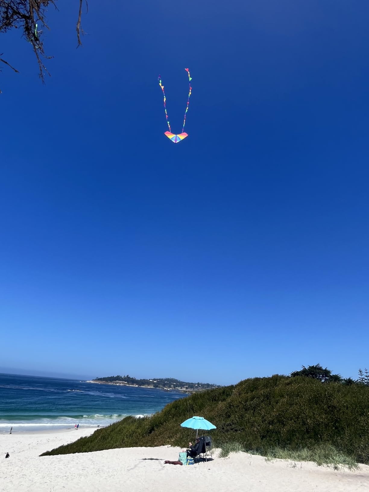 HONBO Large Delta Kite for Kids & Adults,Extremely Easy to Fly Kite for Beach Trip,String Line Included,with Colorful Tail,Perfect for Beginners customer photo 1