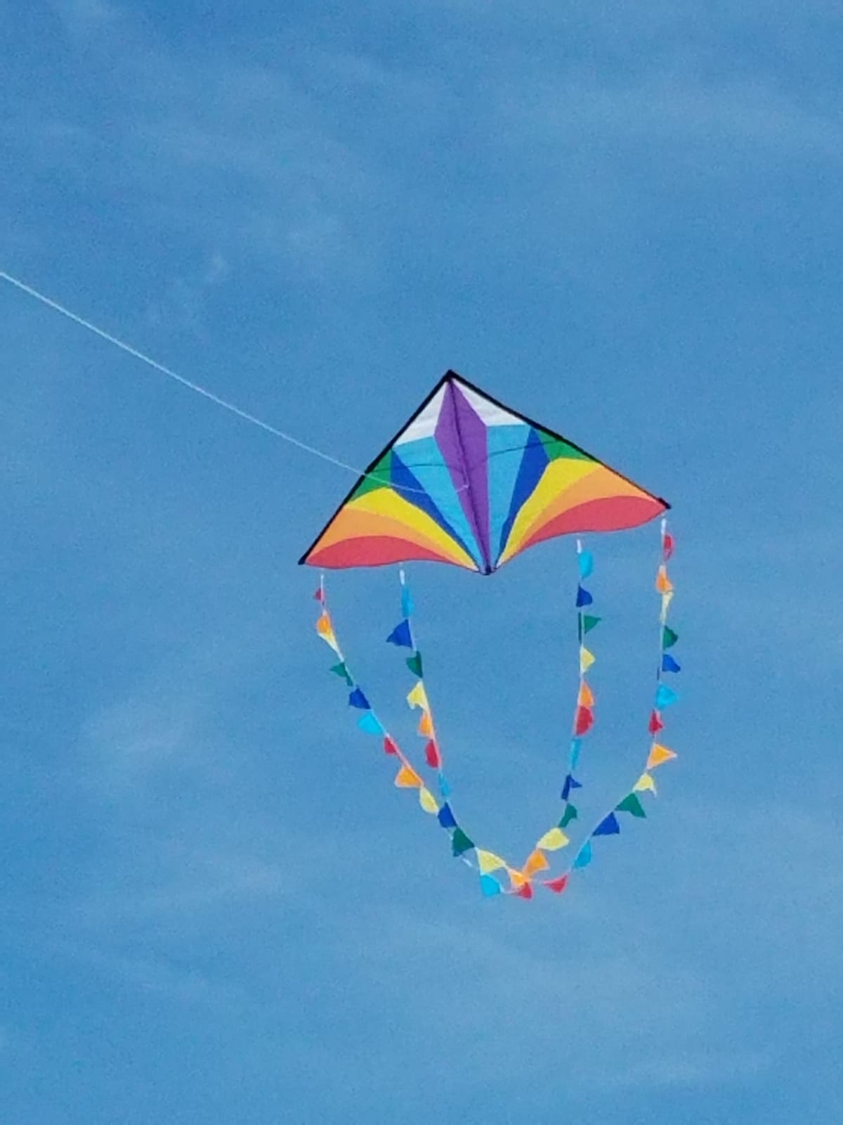 HONBO Large Delta Kite for Kids & Adults,Extremely Easy to Fly Kite for Beach Trip,String Line Included,with Colorful Tail,Perfect for Beginners customer photo 2