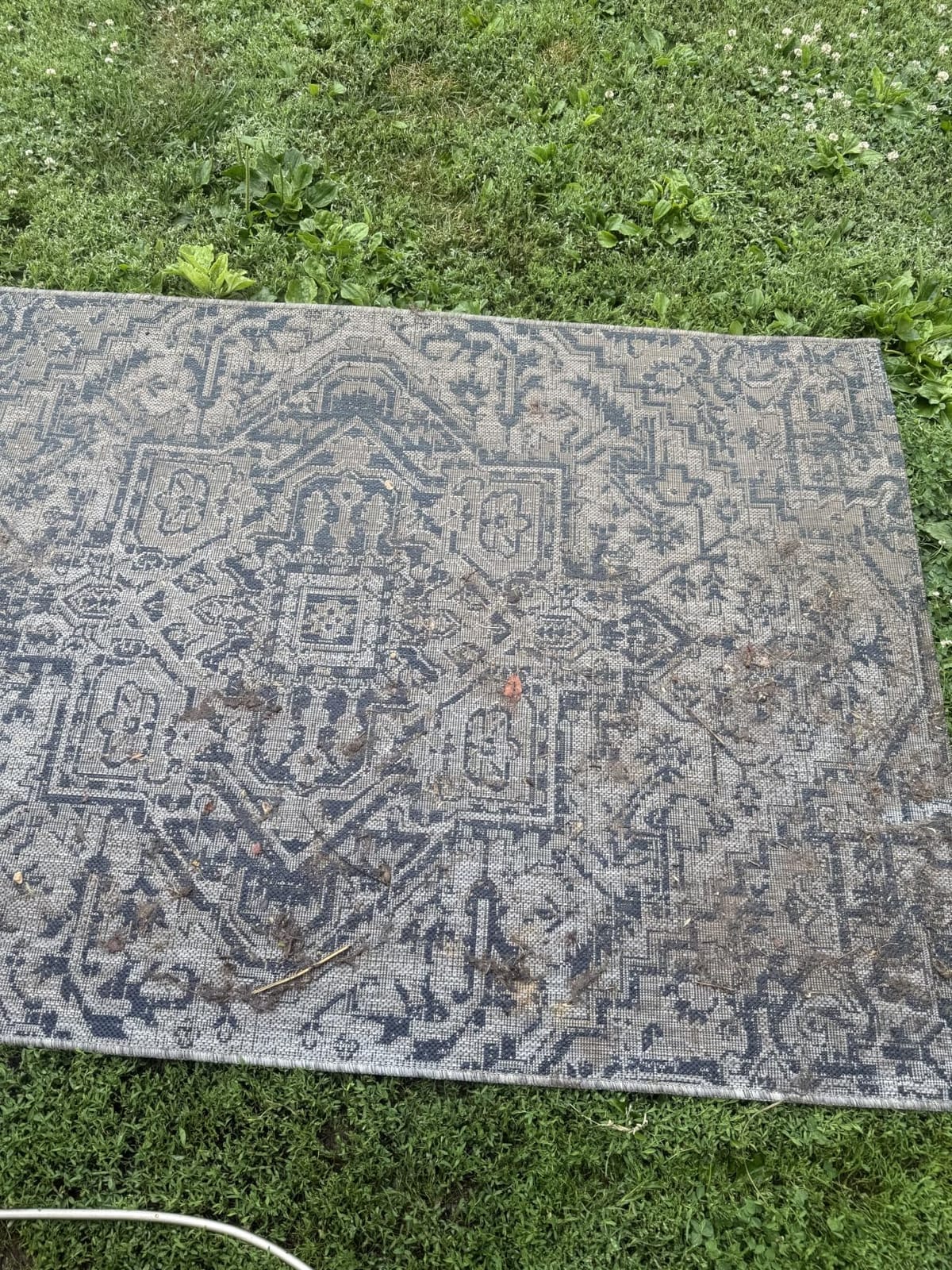 JONATHAN Y Boho Medallion Indoor Outdoor Area Rug 4X6 Navy/Gray, Estrella Textured Weave for Backyard, Patio, Porch, Easy-Cleaning, High Traffic, Pet-Friendly, Non-Shedding (SMB105B-4) customer photo 2