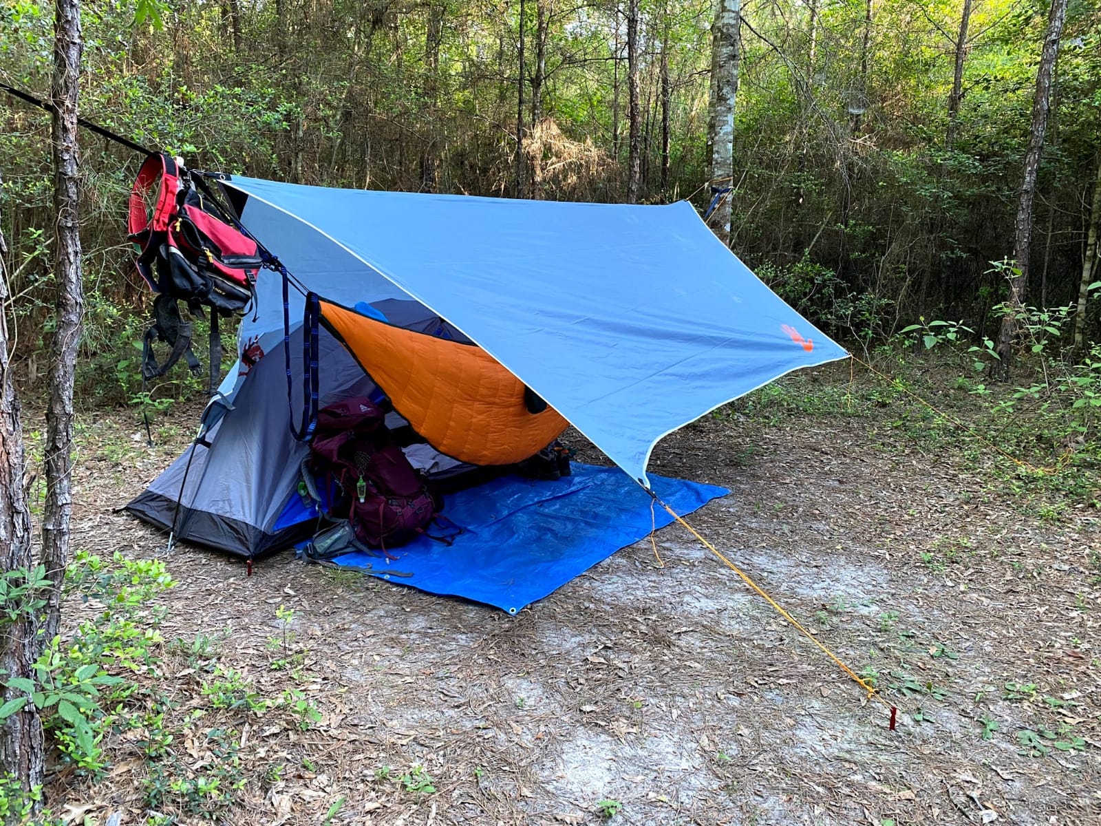 Rain Fly 12x10 Lightweight Survival Camping Tarp; 100% Waterproof; Makes a Great Backpacking Tarp or Hammock Shelter; Comes in Multiple Colors, Survival Bracelet Included; OD-Green customer photo 1