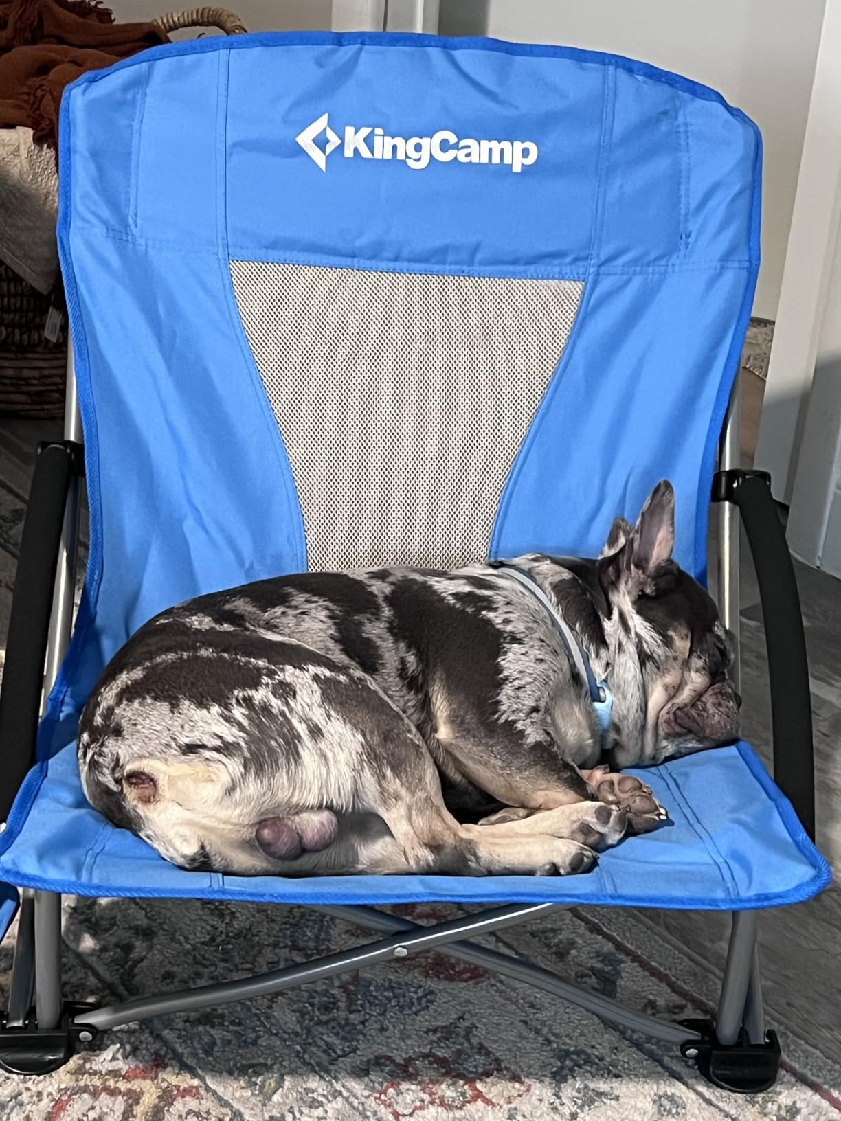 KingCamp Low Beach Chairs 2 Pack, Folding Portable Chair for Adults lightweight Extra Wide Ergonomic High Back Seat 300lbs Heavy Duty Oversized Gear with Carry Bag for Outdoor Lawn Camping Picnic customer photo 2