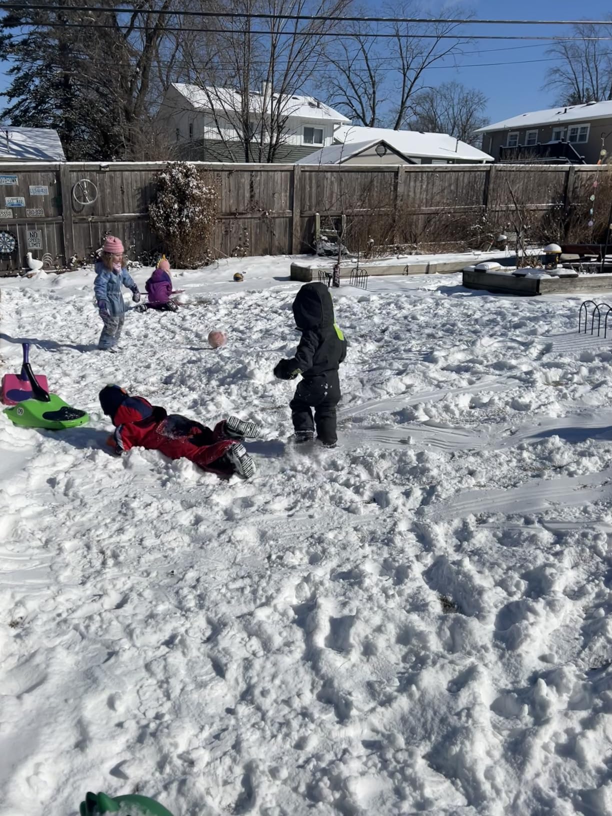 Freestyle Mini Luge Snow Sled - Made in USA - Lightweight Steerable Sit-Down Racer customer photo 2