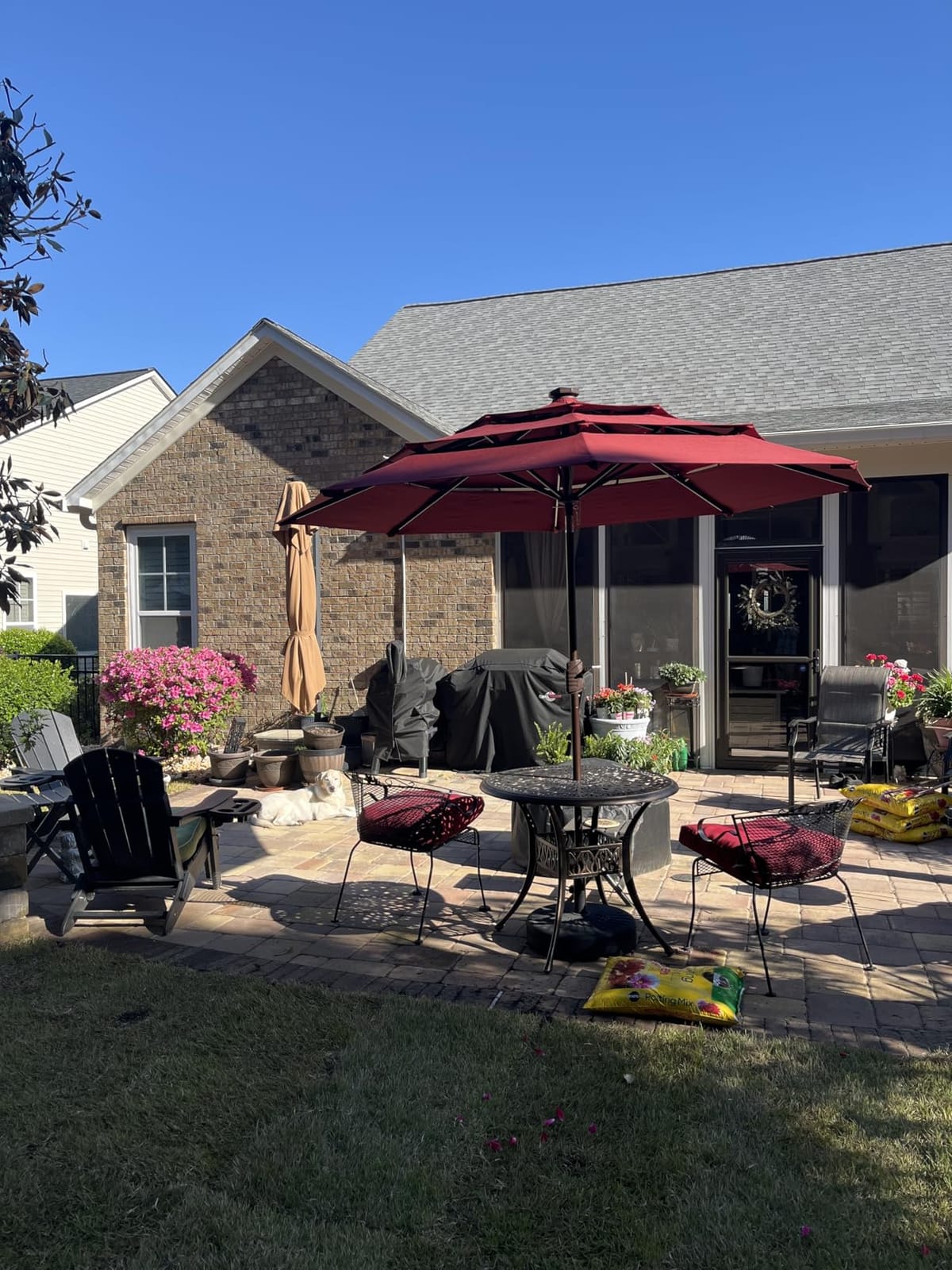 EliteShade USA 10-Year-Non-Fading 9Ft Market Patio Umbrella, UPF 50+ UV Protection Performance Sun Umbrella, Heavy Duty Commercial Grade Outdoor Table Umbrella with Crank & Tilt, Windproof Vented Top customer photo 1