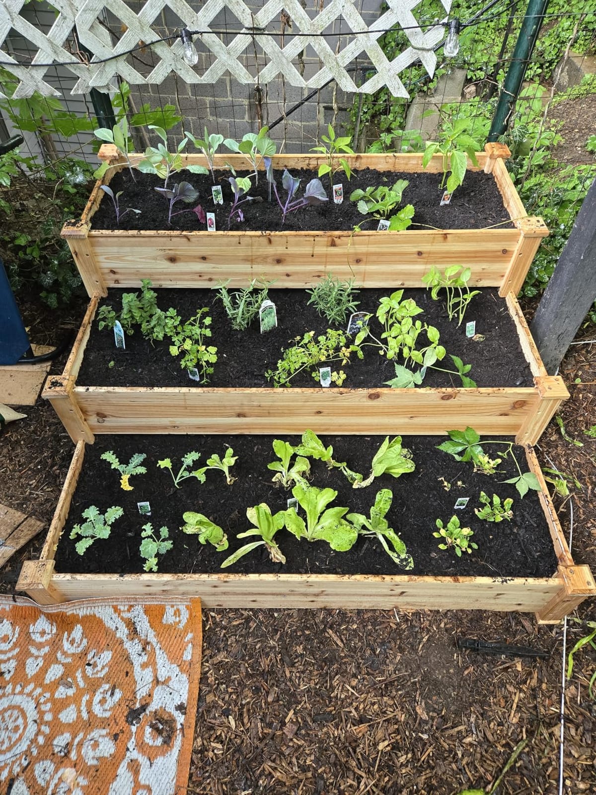 Yaheetech 3 Tier 47 x 47 x 22in Raised Garden Bed Horticulture Outdoor Elevated Flower Box Tiered Garden Bed Wooden Vegetables Growing Planter for Backyard/Patio/Gardener customer photo 1