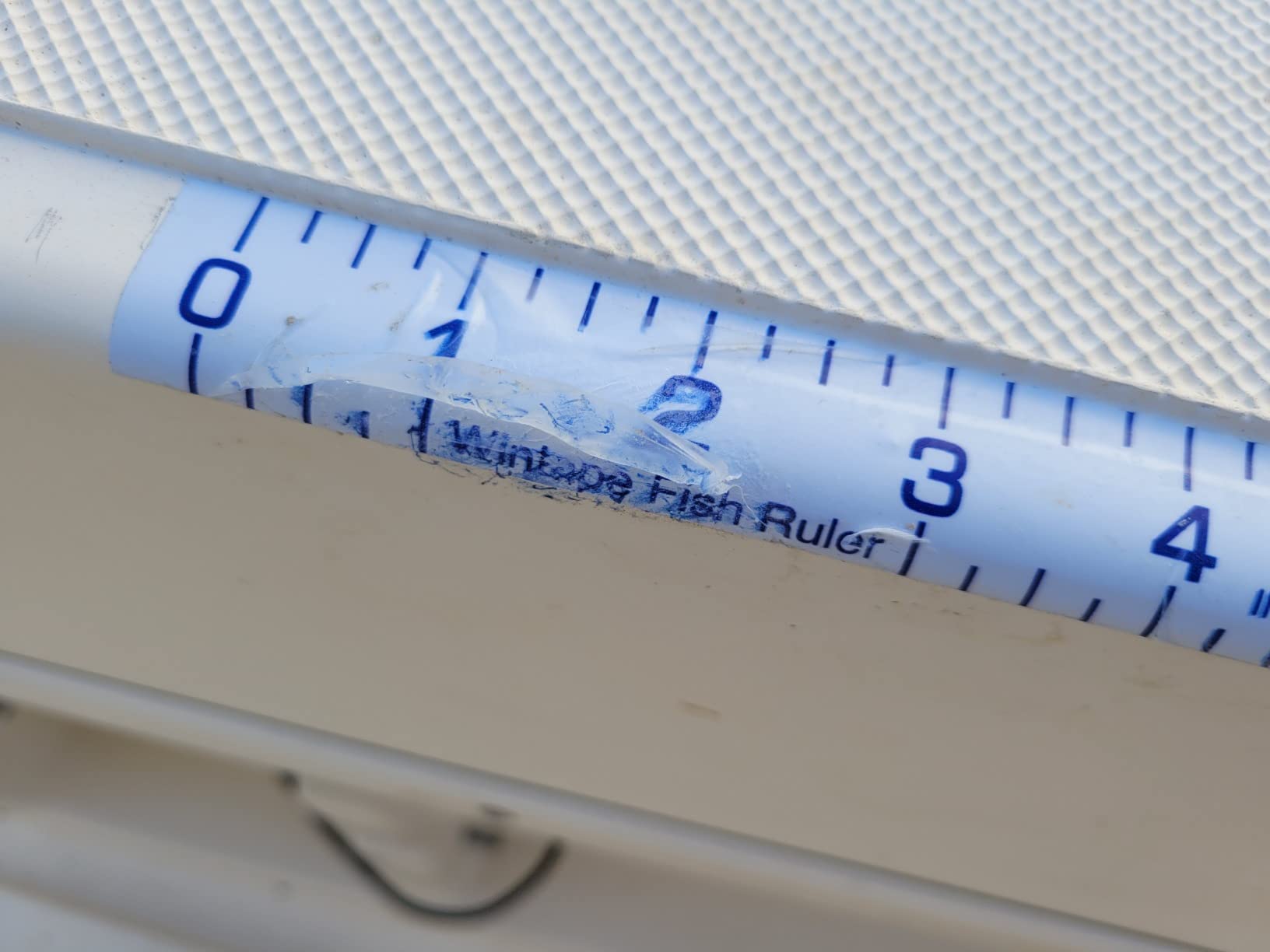 Adhesive Fish Ruler - 40 Inch Fishing Measuring Tape - Fish Measuring Tape | for Fishing Boat, Kayak, Cooler, Workbench - Waterproof Fish Measuring Sticker customer photo 1