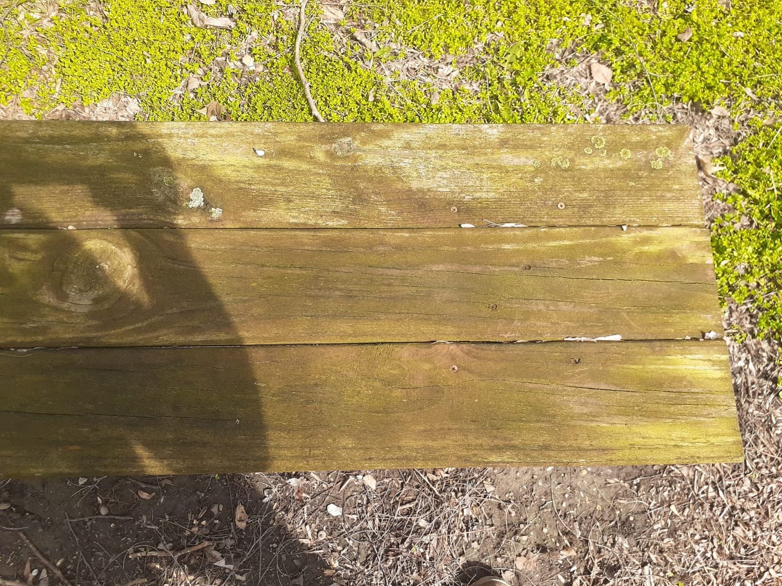 CRAFTSMAN Electric Pressure Washer, Cold Water, 1900 -PSI, 1.2-GPM, Corded (CMEPW1900) customer photo 2