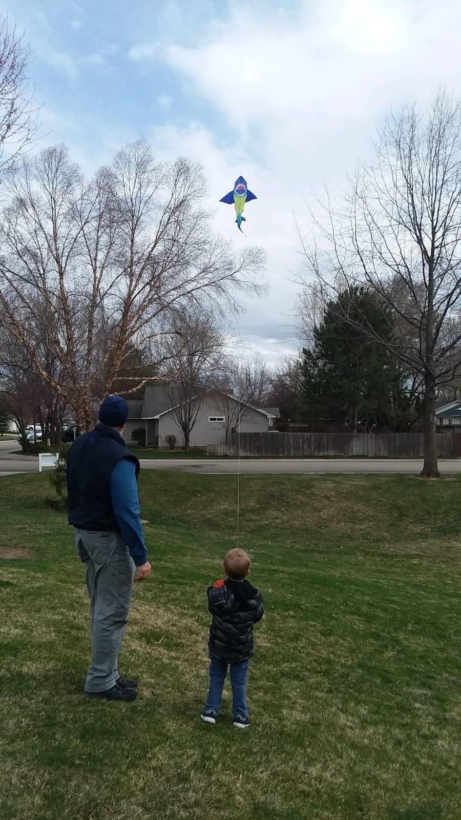 HONBO Large Shark Kites for Kids & Adults, Easy to Fly, Beginner Kite for Boys & Girls for Outdoor Game, Beach Trip, and 60 Meters String for Summer customer photo 1