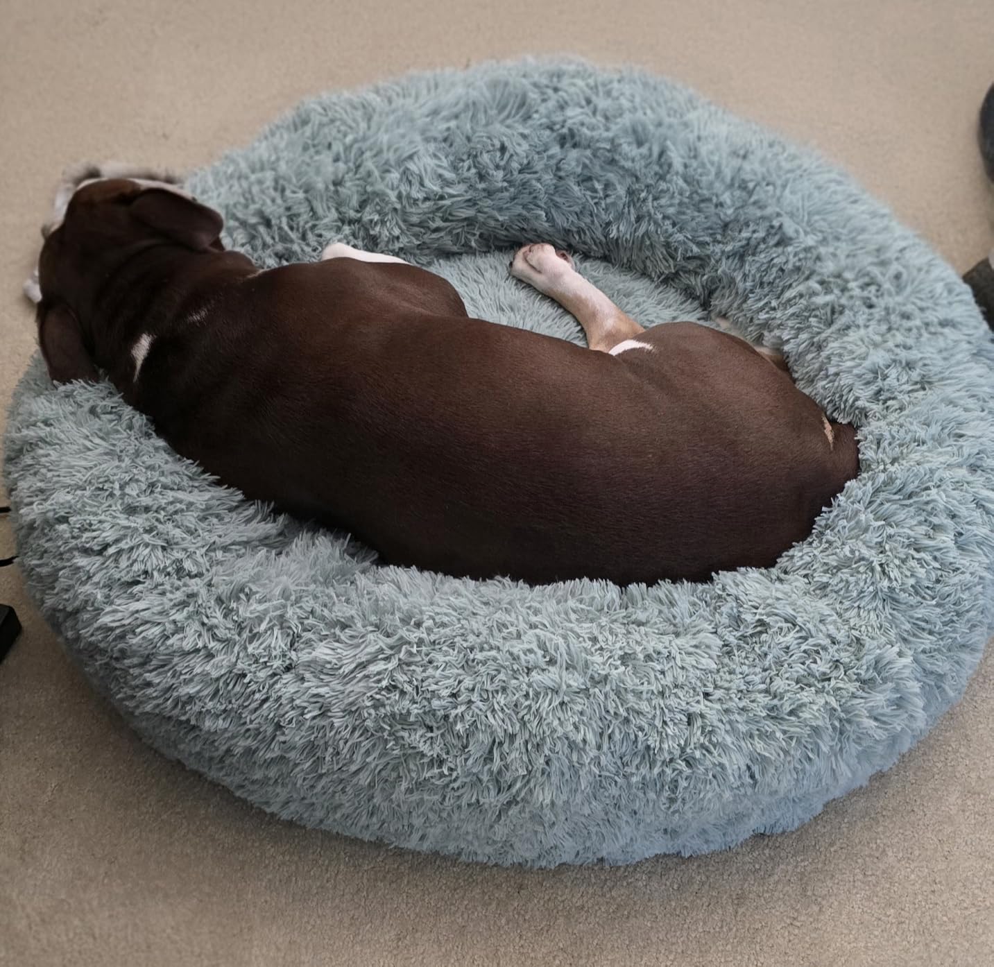 Bedsure Calming Dog Bed Medium Size Dog Donut Washable Pet Bed,30ins Camel customer photo 1