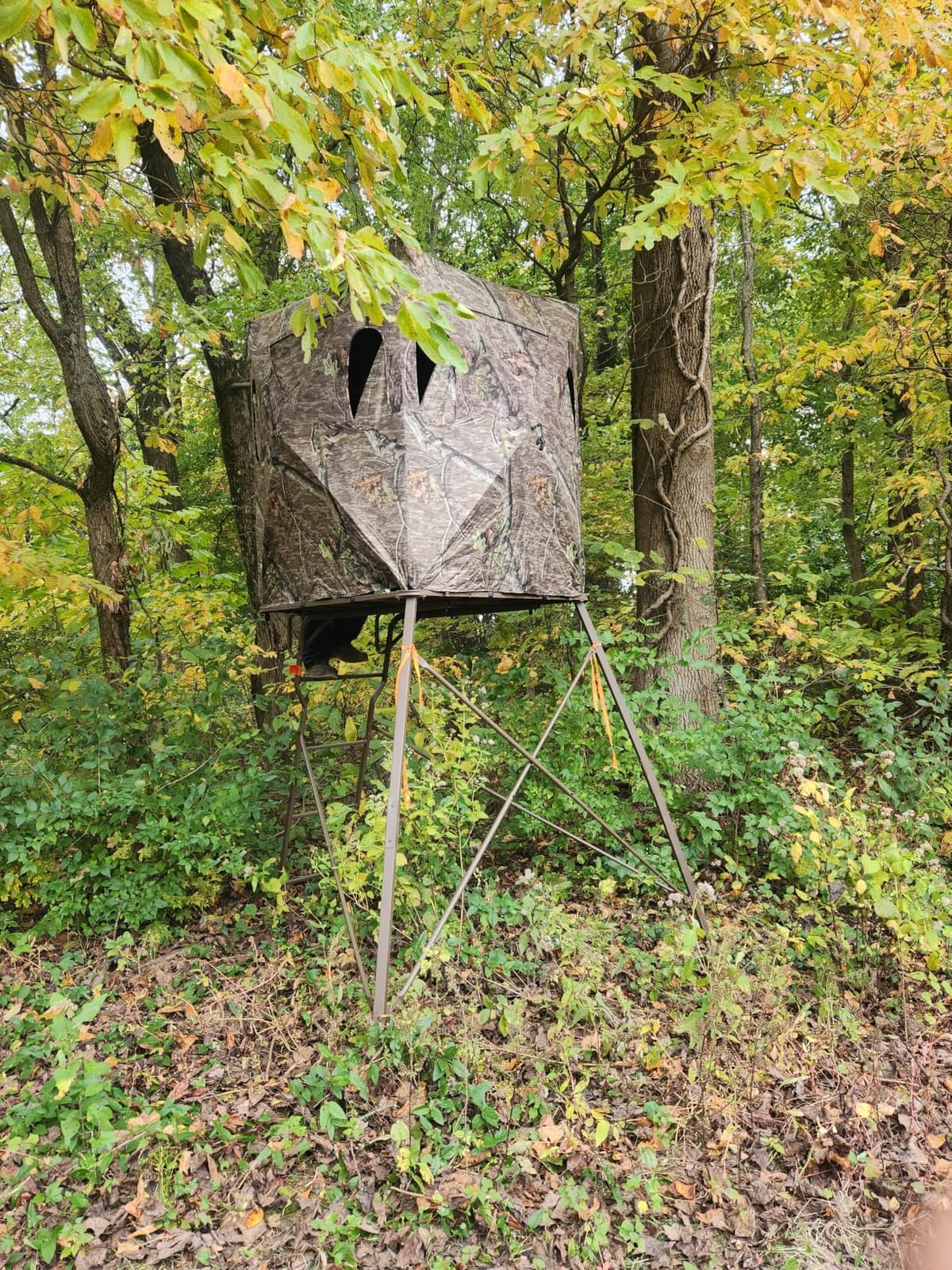 Guide Gear 6 Foot Tripod Hunting Tower Blind, 2-Man Stand Elevated, Hunting Gear Equipment Accessories, 4 by 4 customer photo 2