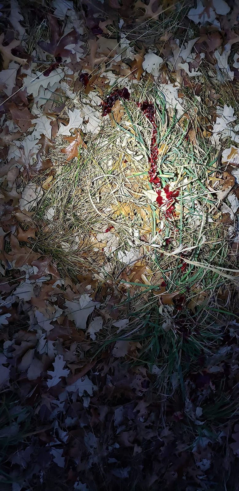 WoodHaven Intimidator Deer Grunt & Snort Wheeze Call customer photo 2