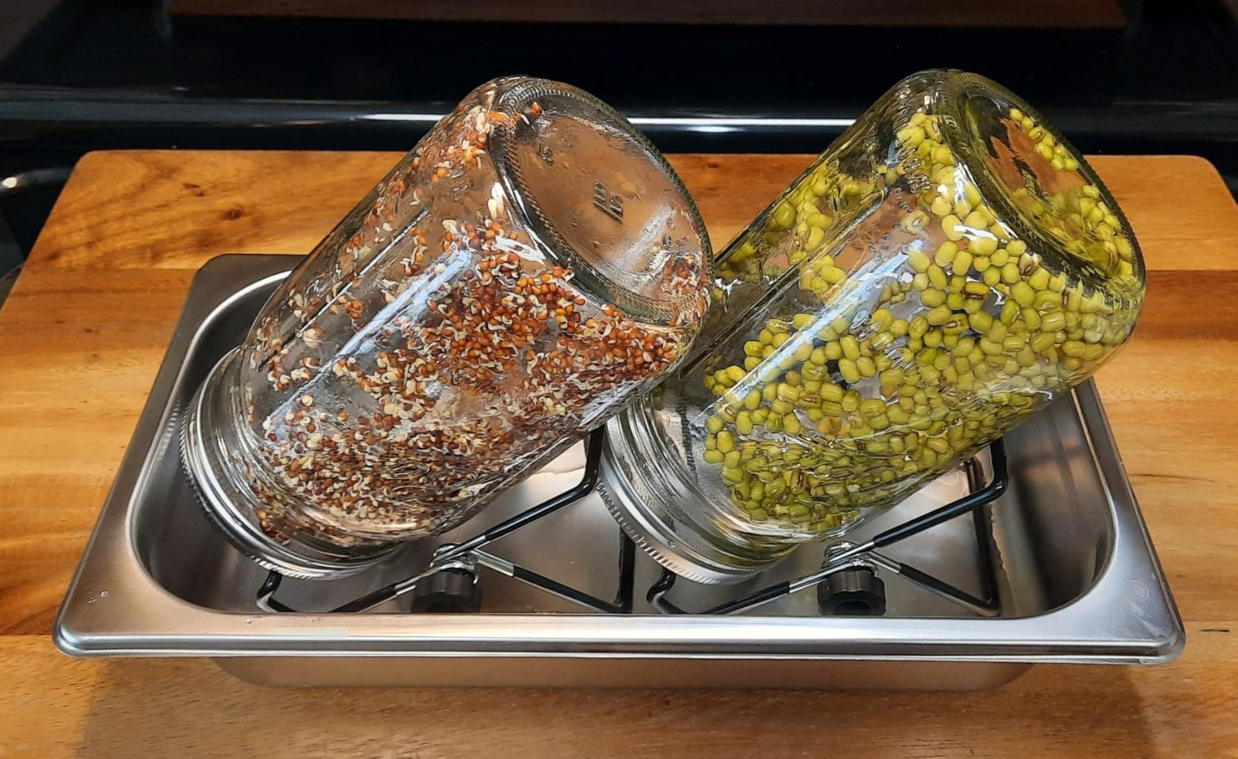 Sprouting Jar Lid (32oz Glass Jars) with 4 Pack Stainless Steel Sprouting Stands for Wide and Wide Mouth Mason Jar for Growing Organic Sprouts, Stainless Steel customer photo 1