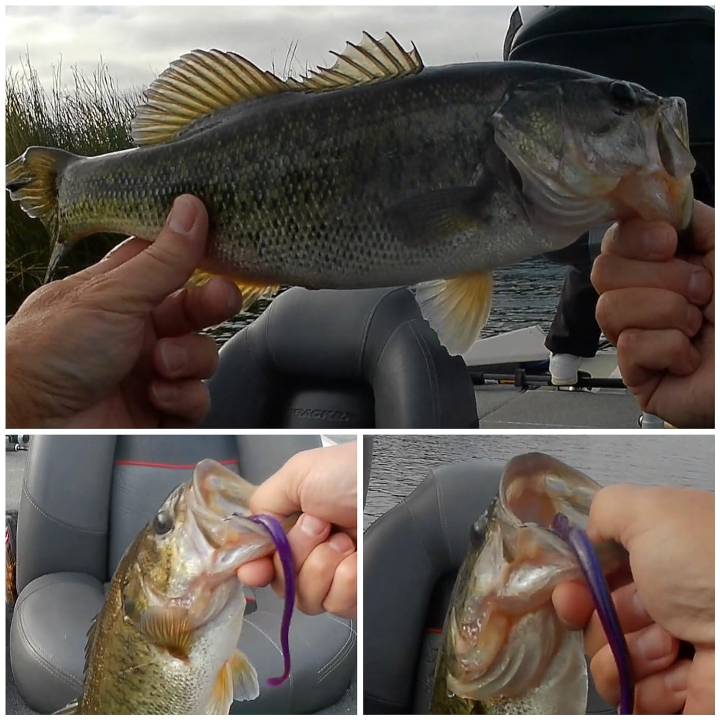 Dr.Fish Drop Shot Fishing Weights with Swivel Bass Pencil Sinkers customer photo 1