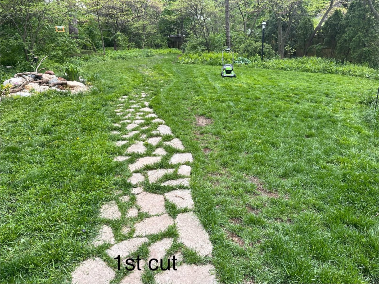 Greenworks 48V (24V x 2) 20in Push Lawn Mower, (2) 4.0 Ah Batteries Kit customer photo 2
