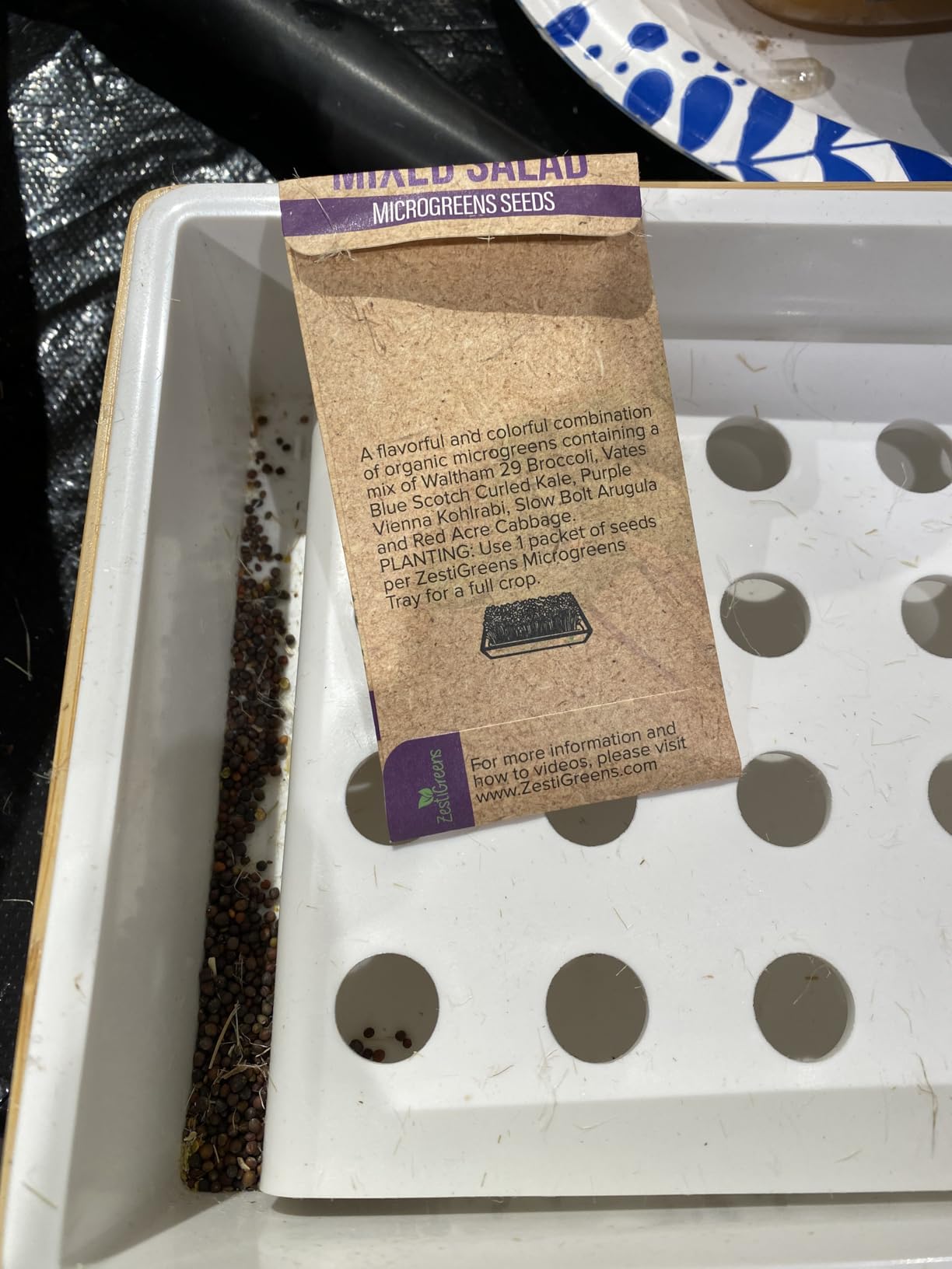 Microgreens Growing Kit - Self-Watering Tray with US Premium Seeds customer photo 1