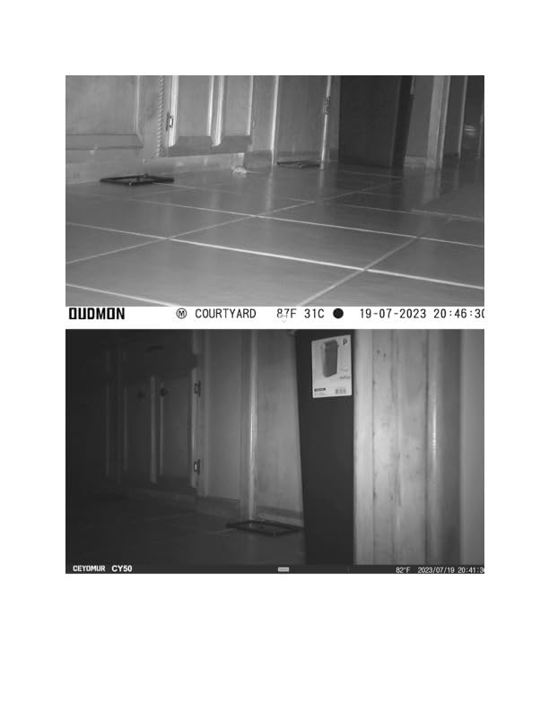 CEYOMUR Trail Camera, 36MP HD Trail Cam with Night Vision Motion Activated | 850nm IR LEDs, IP66 customer photo 2