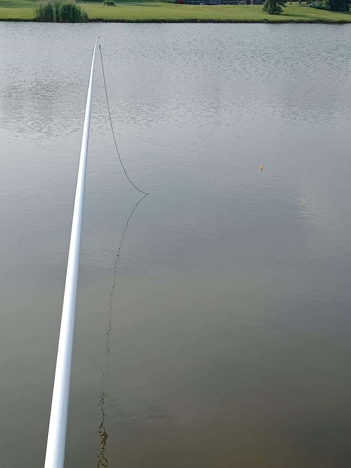 Dovesun Carp Fishing Hair Rigs Carp Fishing Equipment with Baits Hooks Accessories 41PCS/151PCS customer photo 2
