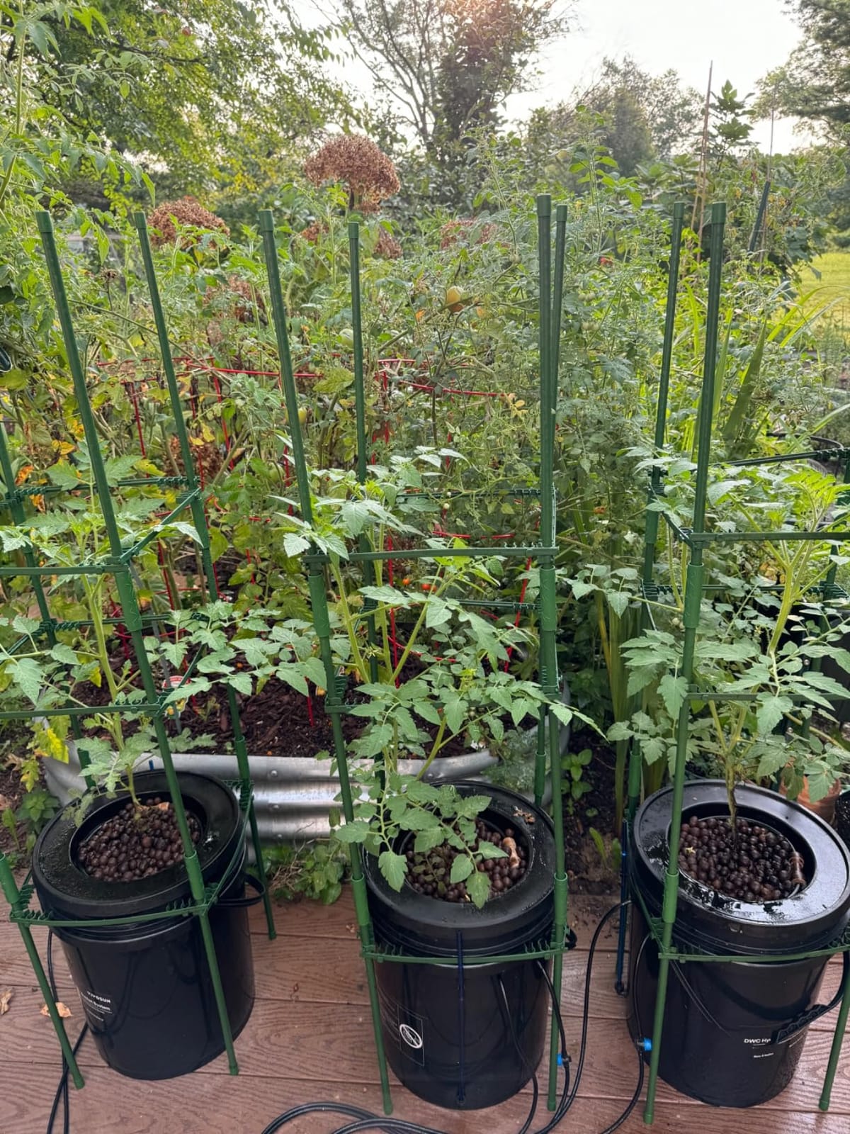 VIVOSUN DWC Hydroponics Grow System with Top Drip Kit 4 Buckets customer photo 2