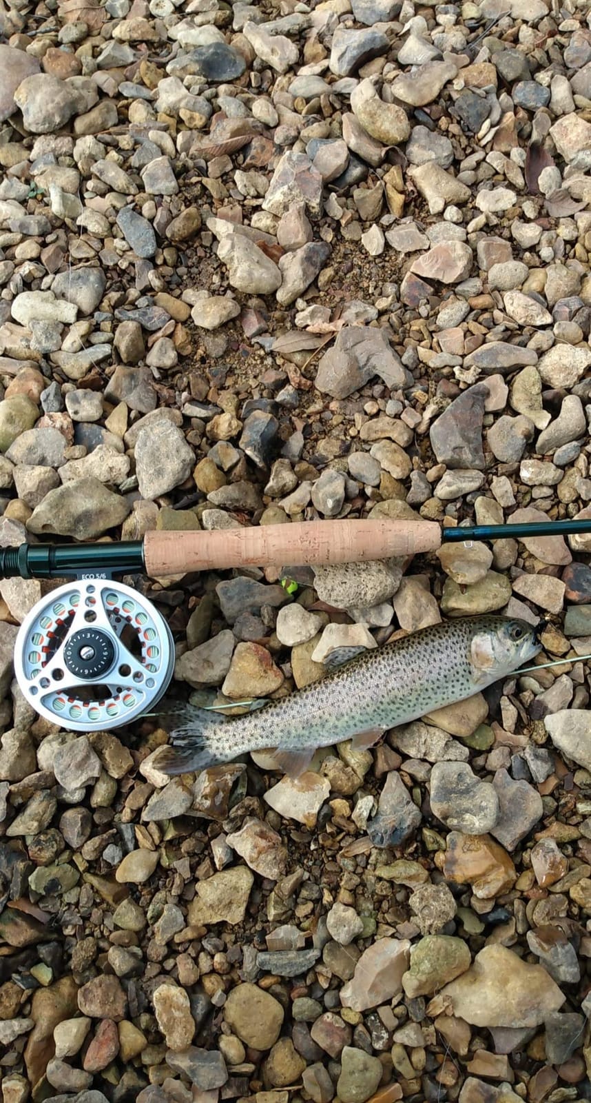 RoxStar Fly Shop | Wooly Bugger Flies Assortment | Hand Tied with Platinum Select Marabou | We Have Mastered The Woolly Bugger | The Results are Unmatched! Tied in House - Never Outsourced! customer photo 1