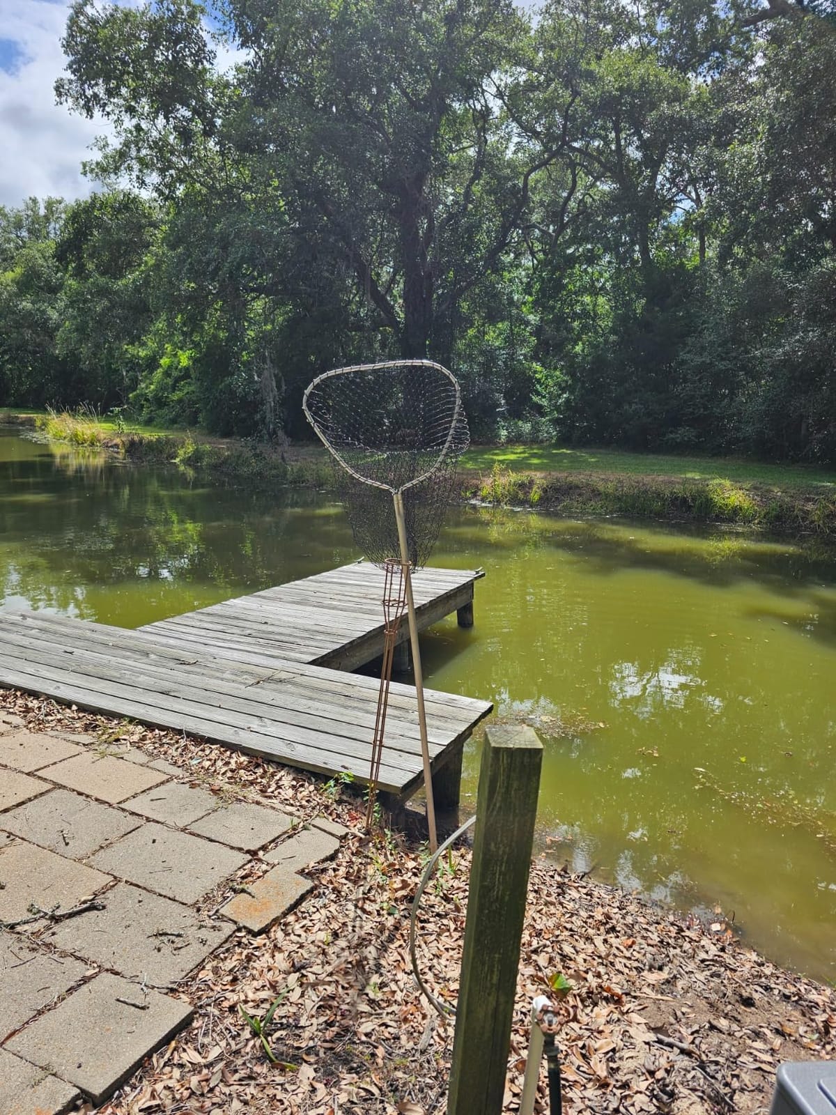 Dovesun Fishing Net Fish Landing Net Foldable Fishing Replacement Net for Freshwater Saltwater Fishing Net Replacement Netting Green/Black 2 Colors Handle/Frame Not Included customer photo 2