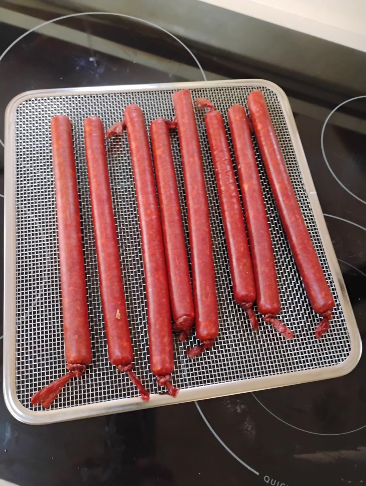 Large Capacity Jerky Gun Kits, Jerky Cannon, Stainless Steel Jerky Maker, Jerky Shooter, Meat Gun, Beef Deer Jerky Making Gun Kit, Gifts for Women Men customer photo 2