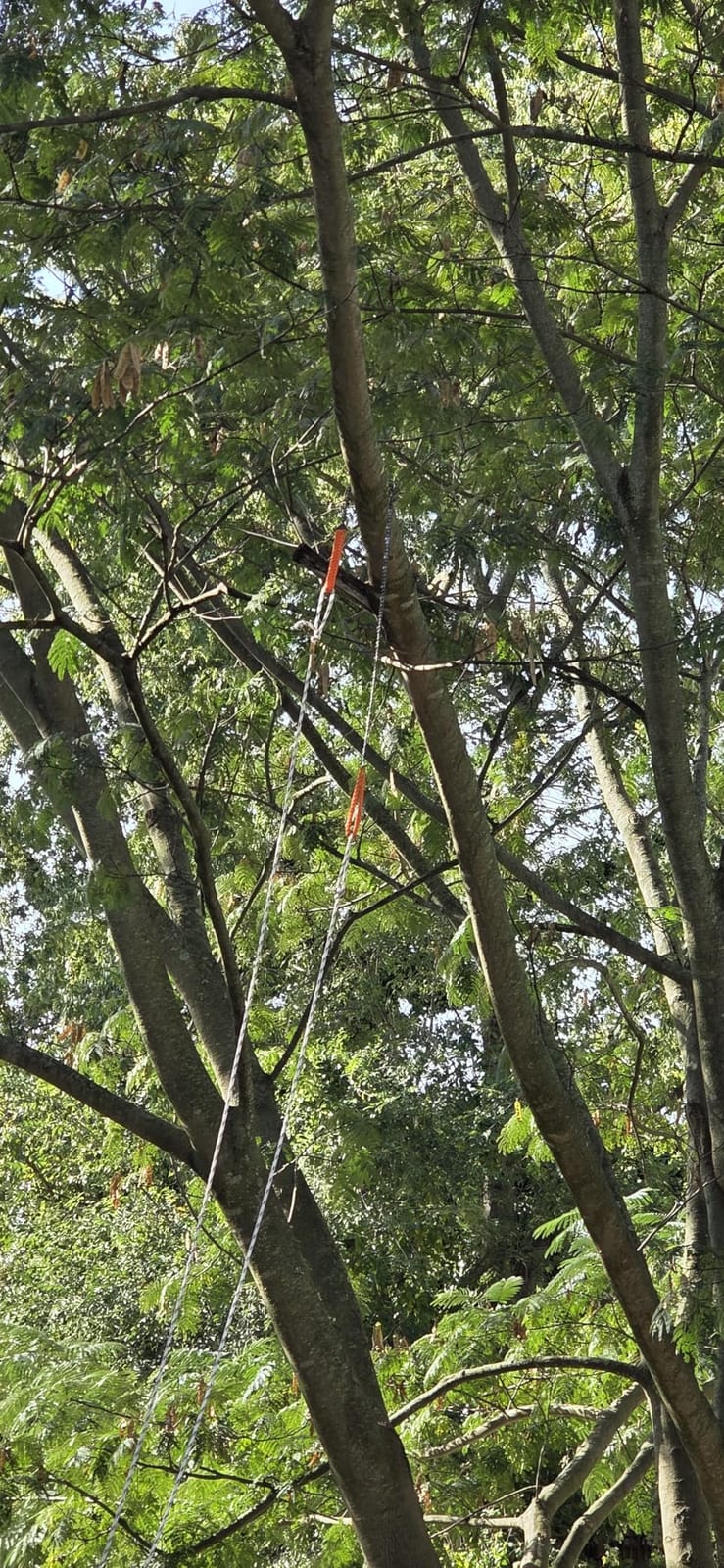 Pocket Chainsaw Survival Gear and Supplies - Orange Strap Hand Chain Saw customer photo 2